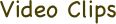 Video Clips